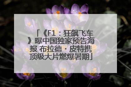 《F1：狂飙飞车》曝中国独家预告海报 布拉德・皮特携顶级大片燃爆暑期