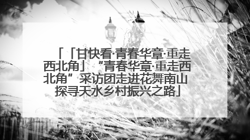 「甘快看·青春华章·重走西北角」“青春华章·重走西北角”采访团走进花舞南山 探寻天水乡村振兴之路