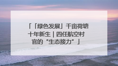 「绿色发展」千亩荷塘 十年新生｜四任航空村官的“生态接力”