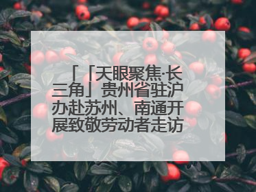 「天眼聚焦·长三角」贵州省驻沪办赴苏州、南通开展致敬劳动者走访慰问活动
