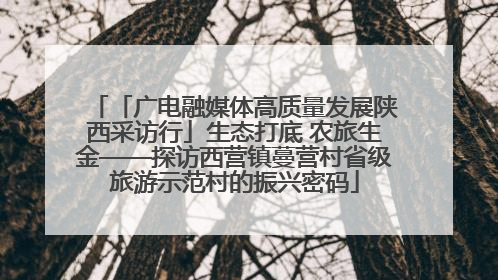 「广电融媒体高质量发展陕西采访行」生态打底 农旅生金——探访西营镇蔓营村省级旅游示范村的振兴密码