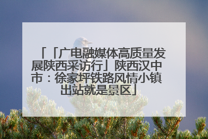 「广电融媒体高质量发展陕西采访行」陕西汉中市：徐家坪铁路风情小镇 出站就是景区