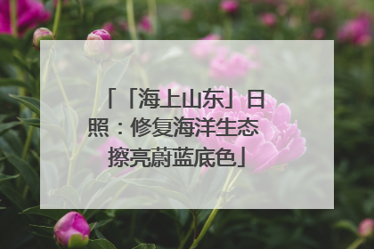 「海上山东」日照：修复海洋生态 擦亮蔚蓝底色