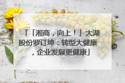 「湘商，向上！」大湖股份罗订坤：转型大健康，企业发展更健康