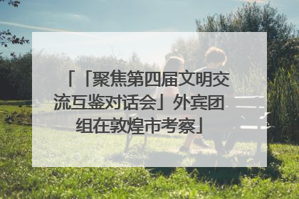 「聚焦第四届文明交流互鉴对话会」外宾团组在敦煌市考察