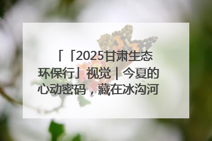 「2025甘肃生态环保行」视觉｜今夏的心动密码，藏在冰沟河的潋滟波光里