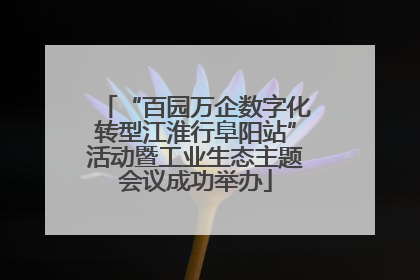 “百园万企数字化转型江淮行阜阳站”活动暨工业生态主题会议成功举办