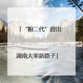 “粮二代”蹚出湖南大米新路子