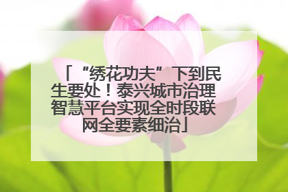 “绣花功夫”下到民生要处！泰兴城市治理智慧平台实现全时段联网全要素细治