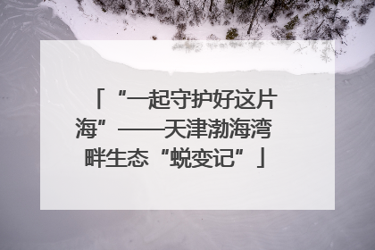 “一起守护好这片海”——天津渤海湾畔生态“蜕变记”