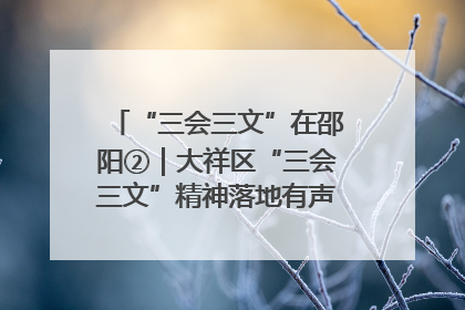 “三会三文”在邵阳②｜大祥区“三会三文”精神落地有声 以实干实绩助力区域高质量发展