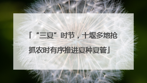 “三夏”时节，十堰多地抢抓农时有序推进夏种夏管