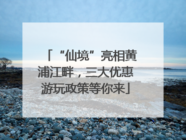 “仙境”亮相黄浦江畔，三大优惠游玩政策等你来