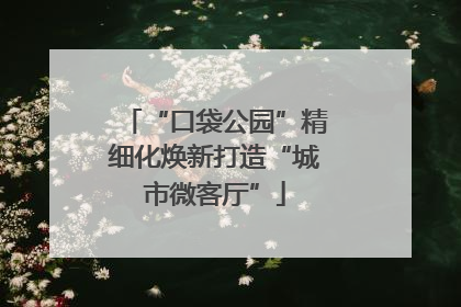 “口袋公园”精细化焕新打造“城市微客厅”