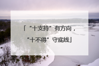 “十支持”有方向，“十不得”守底线