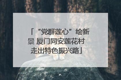 “党群莲心”绘新景 厦门同安莲花村走出特色振兴路