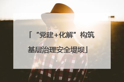 “党建+化解”构筑基层治理安全堤坝