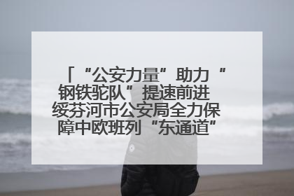 “公安力量”助力“钢铁驼队”提速前进 绥芬河市公安局全力保障中欧班列“东通道”绥芬河隧道贯通