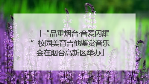 “品重烟台·音爱闪耀”校园美育吉他鉴赏音乐会在烟台高新区举办