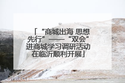 “商城出海 思想先行”——“双会”进商城学习调研活动在临沂顺利开展