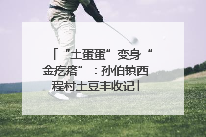 “土蛋蛋”变身“金疙瘩”：孙伯镇西程村土豆丰收记