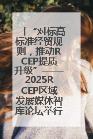 “对标高标准经贸规则，推动RCEP提质升级”——2025RCEP区域发展媒体智库论坛举行专题对话