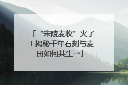 “宋陵麦收”火了！揭秘千年石刻与麦田如何共生→