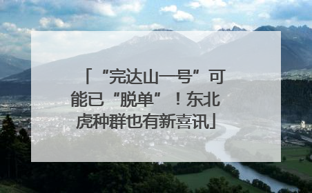 “完达山一号”可能已“脱单”！东北虎种群也有新喜讯