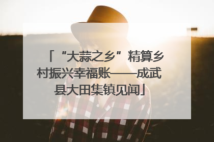 “大蒜之乡”精算乡村振兴幸福账——成武县大田集镇见闻