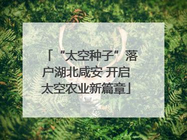 “太空种子”落户湖北咸安 开启太空农业新篇章