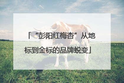 “彭阳红梅杏”从地标到金标的品牌蜕变