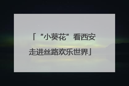 “小葵花”看西安走进丝路欢乐世界