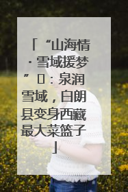 “山海情・雪域援梦”⑪：泉润雪域，白朗县变身西藏最大菜篮子