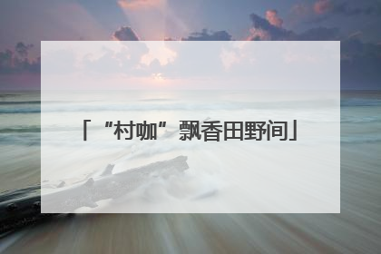 “村咖”飘香田野间