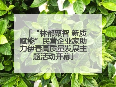 “林都聚智 新质赋能”民营企业家助力伊春高质量发展主题活动开幕
