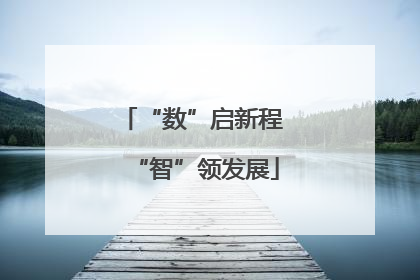 “数”启新程 “智”领发展