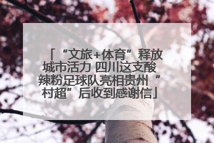 “文旅+体育”释放城市活力 四川这支酸辣粉足球队亮相贵州“村超”后收到感谢信