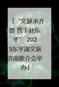 “文脉承齐鲁 携手赴东平” 2025东平湖文旅济南推介会举办