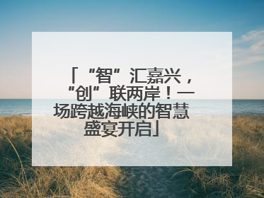 “智”汇嘉兴，“创”联两岸！一场跨越海峡的智慧盛宴开启