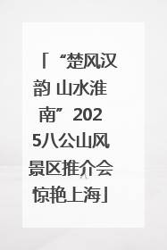 “楚风汉韵 山水淮南”2025八公山风景区推介会惊艳上海