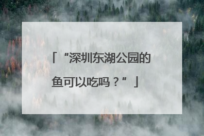 “深圳东湖公园的鱼可以吃吗？”