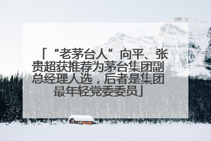 “老茅台人”向平、张贵超获推荐为茅台集团副总经理人选，后者是集团最年轻党委委员