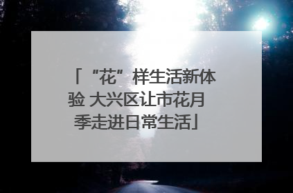 “花”样生活新体验 大兴区让市花月季走进日常生活