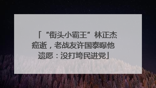 “街头小霸王”林正杰癌逝，老战友许国泰曝他遗愿：没打垮民进党