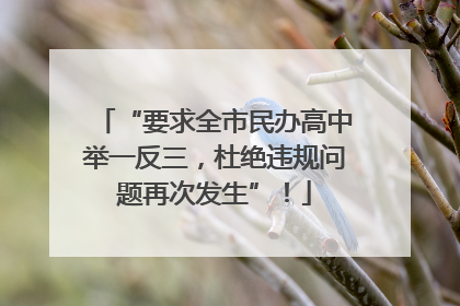 “要求全市民办高中举一反三，杜绝违规问题再次发生”！