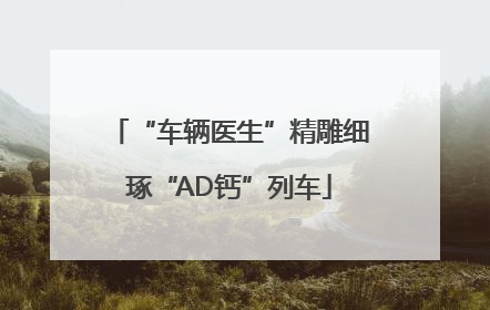 “车辆医生”精雕细琢“AD钙”列车