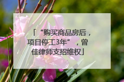 “购买商品房后，项目停工3年”，曾佳律师支招维权