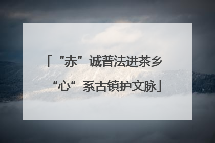 “赤”诚普法进茶乡 “心”系古镇护文脉