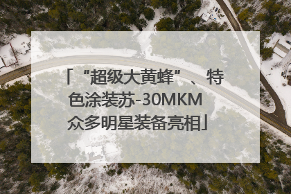 “超级大黄蜂”、特色涂装苏-30MKM 众多明星装备亮相