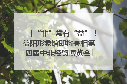 “非”常有“益”！益阳形象馆即将亮相第四届中非经贸博览会
